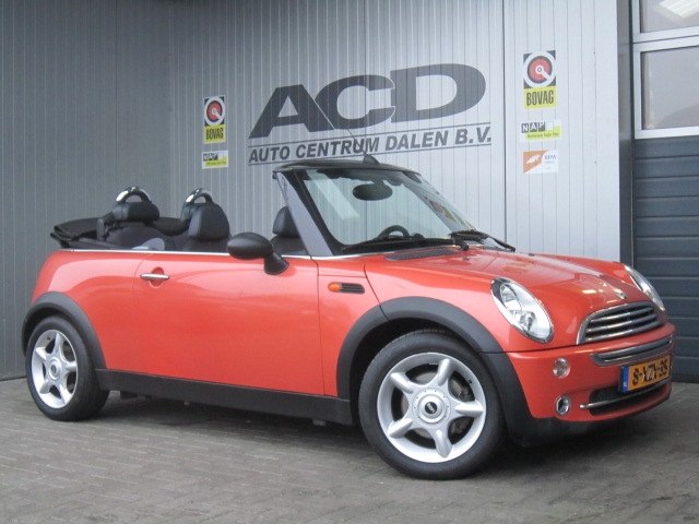 <p>
	mini oranje</p>
